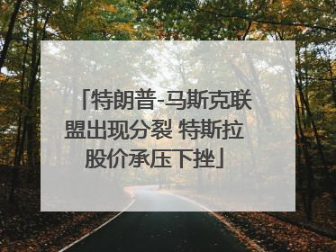 特朗普-马斯克联盟出现分裂 特斯拉股价承压下挫