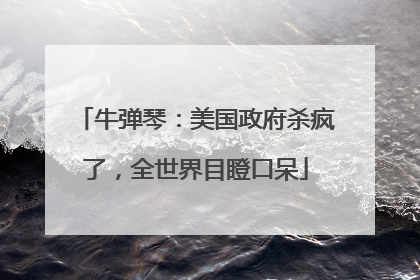 牛弹琴：美国政府杀疯了，全世界目瞪口呆