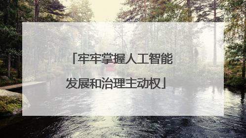 牢牢掌握人工智能发展和治理主动权