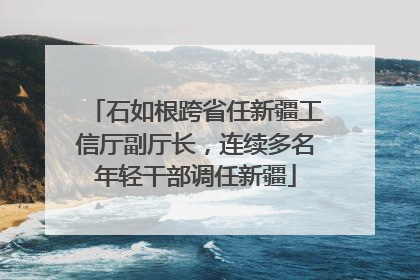 石如根跨省任新疆工信厅副厅长，连续多名年轻干部调任新疆