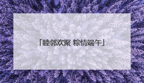 睦邻欢聚 粽情端午