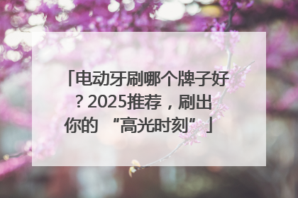 电动牙刷哪个牌子好？2025推荐，刷出你的 “高光时刻”