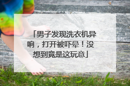 男子发现洗衣机异响，打开被吓晕！没想到竟是这玩意