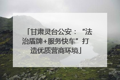 甘肃灵台公安：“法治盾牌+服务快车”打造优质营商环境