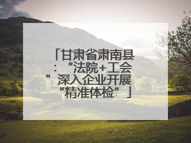 甘肃省肃南县：“法院+工会”深入企业开展“精准体检”