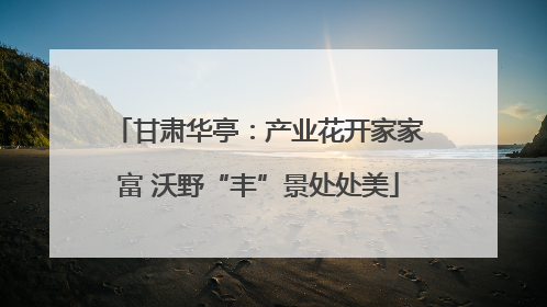 甘肃华亭：产业花开家家富 沃野“丰”景处处美