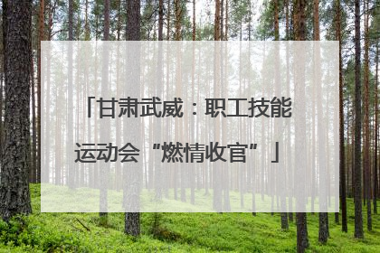 甘肃武威：职工技能运动会“燃情收官”