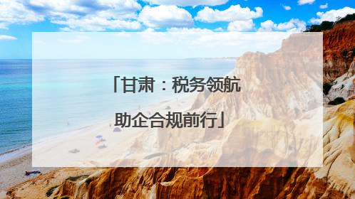 甘肃：税务领航 助企合规前行