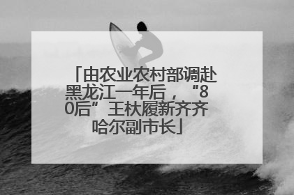 由农业农村部调赴黑龙江一年后，“80后”王杕履新齐齐哈尔副市长