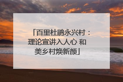 百里杜鹃永兴村：理论宣讲入人心 和美乡村焕新颜
