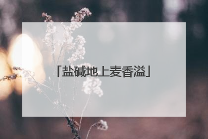 盐碱地上麦香溢