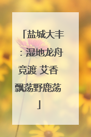 盐城大丰：湿地龙舟竞渡 艾香飘荡野鹿荡