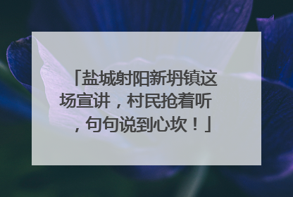 盐城射阳新坍镇这场宣讲，村民抢着听，句句说到心坎！