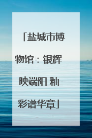 盐城市博物馆：银辉映端阳 釉彩谱华章