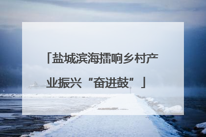 盐城滨海擂响乡村产业振兴“奋进鼓”