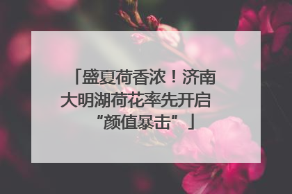 盛夏荷香浓！济南大明湖荷花率先开启“颜值暴击”