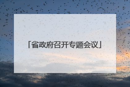 省政府召开专题会议