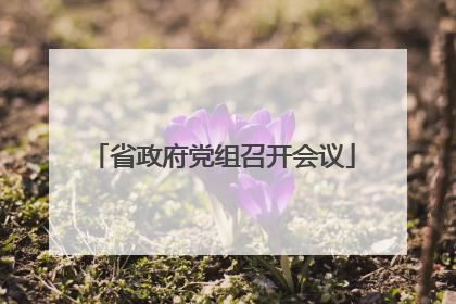 省政府党组召开会议