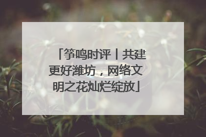 筝鸣时评丨共建更好潍坊，网络文明之花灿烂绽放