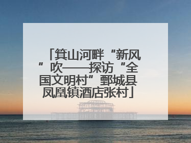 箕山河畔“新风”吹——探访“全国文明村”鄄城县凤凰镇酒店张村