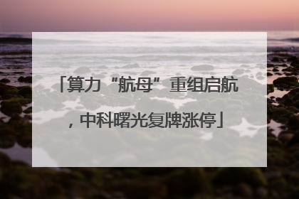 算力“航母”重组启航，中科曙光复牌涨停
