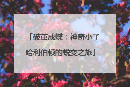 破茧成蝶：神奇小子哈利伯顿的蜕变之旅