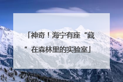 神奇！海宁有座“藏”在森林里的实验室