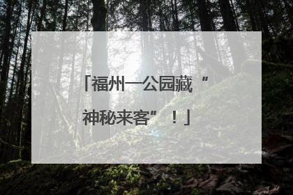 福州一公园藏“神秘来客”！