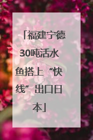 福建宁德30吨活水鱼搭上“快线”出口日本