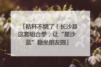 秸秆不烧了！长沙县这套组合拳，让“星沙蓝”稳坐朋友圈