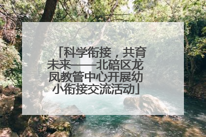 科学衔接，共育未来——北碚区龙凤教管中心开展幼小衔接交流活动