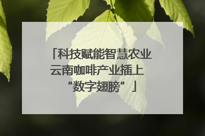 科技赋能智慧农业 云南咖啡产业插上“数字翅膀”
