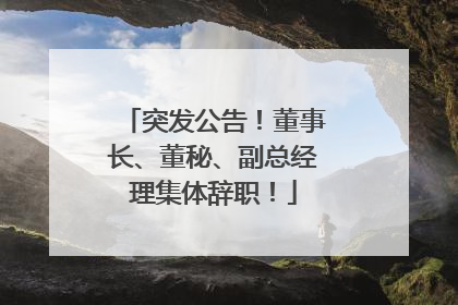 突发公告！董事长、董秘、副总经理集体辞职！