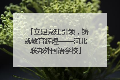 立足党建引领，铸就教育辉煌——河北联邦外国语学校