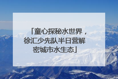 童心探秘水世界，徐汇少先队半日营解密城市水生态