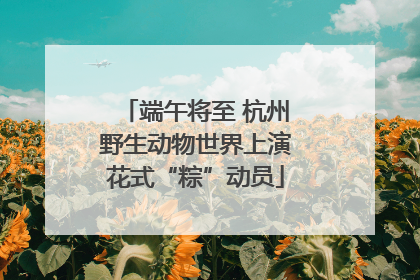 端午将至 杭州野生动物世界上演花式“粽”动员