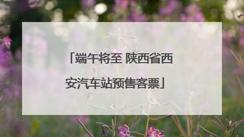 端午将至 陕西省西安汽车站预售客票
