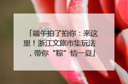 端午拍了拍你：来这里！浙江文旅市集玩法，带你“粽”情一夏