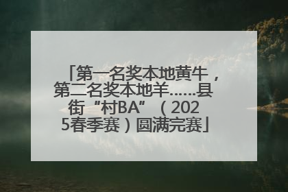 第一名奖本地黄牛，第二名奖本地羊……县街“村BA”（2025春季赛）圆满完赛