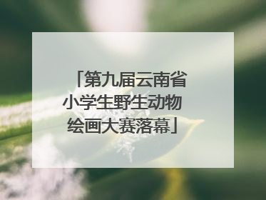 第九届云南省小学生野生动物绘画大赛落幕