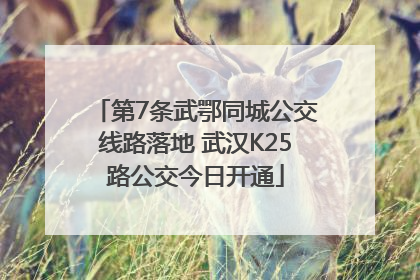 第7条武鄂同城公交线路落地 武汉K25路公交今日开通