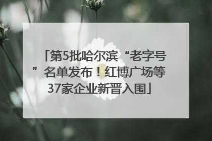 第5批哈尔滨“老字号”名单发布！红博广场等37家企业新晋入围