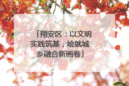 翔安区：以文明实践筑基，绘就城乡融合新画卷