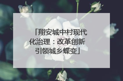 翔安城中村现代化治理：改革创新引领城乡蝶变