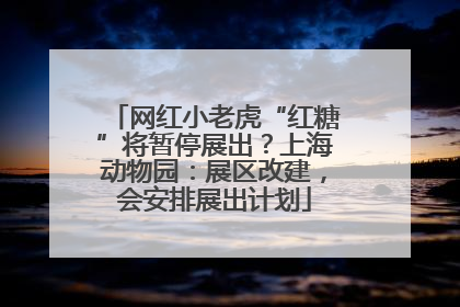 网红小老虎“红糖”将暂停展出？上海动物园：展区改建，会安排展出计划