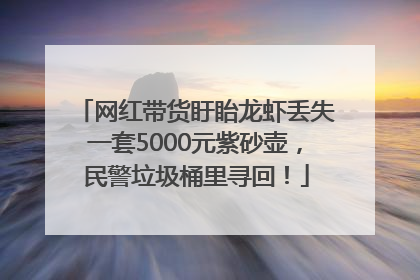 网红带货盱眙龙虾丢失一套5000元紫砂壶，民警垃圾桶里寻回！