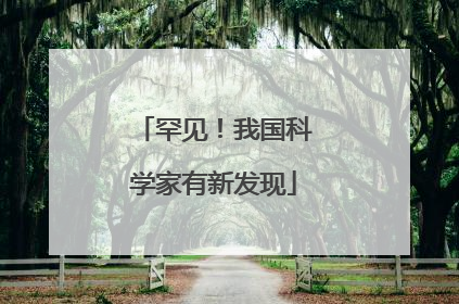 罕见！我国科学家有新发现