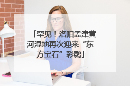 罕见！洛阳孟津黄河湿地再次迎来“东方宝石”彩鹮