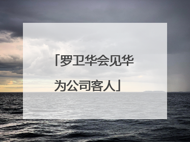罗卫华会见华为公司客人