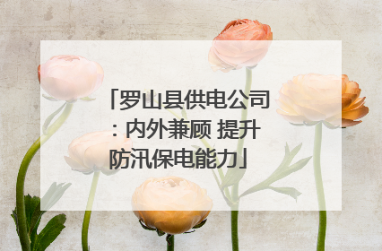 罗山县供电公司：内外兼顾 提升防汛保电能力